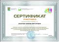 Сертификат участника окружной конференции по вопросам введения ФГОС обучающихся с ОВЗ в ХМАО-Югре